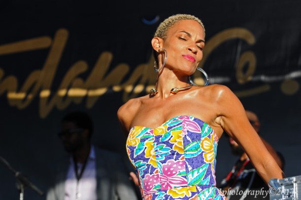 ©Eric K. Arnold 2014