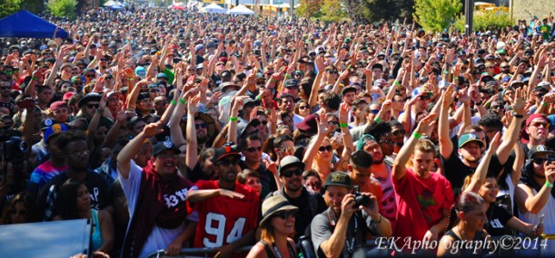 Hiero Day 2014